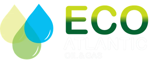 Eco Oil, Gas Aktie