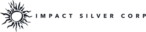 Impact Silver Logo