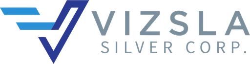 Vizsla Silver Aktie