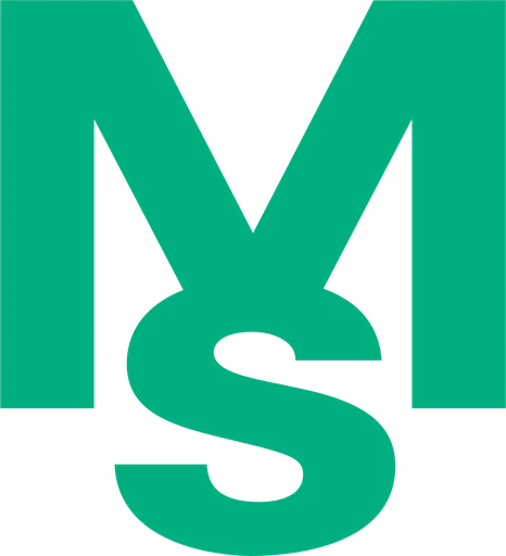 MS Industrie Aktie