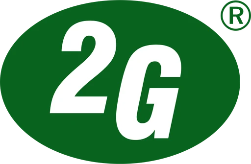 2G Energy Aktie