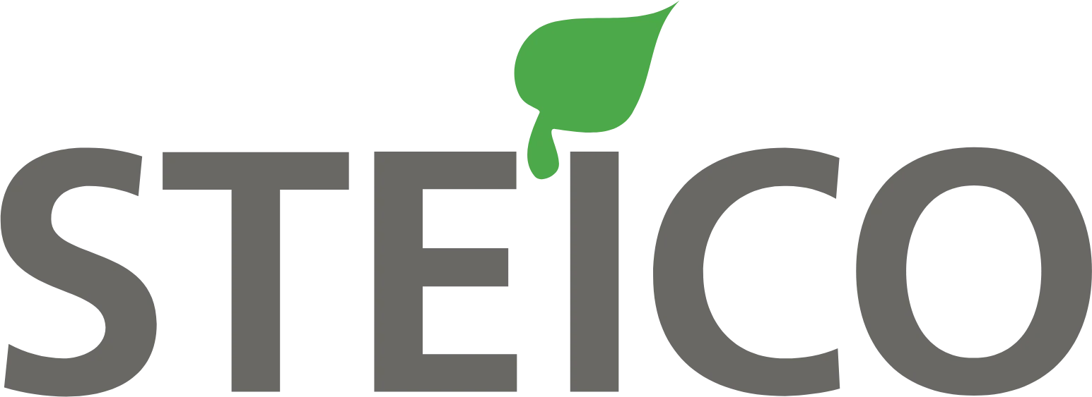 Steico Aktie