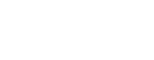 The Platform Group Aktie