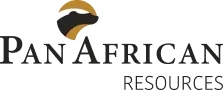 Pan African Logo