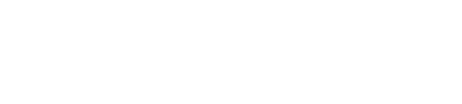 Zoom Aktie