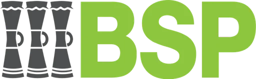BSP Financial Logo