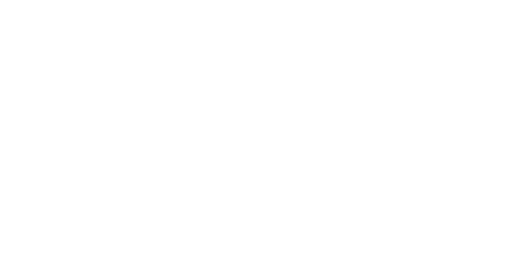 Bruker Logo