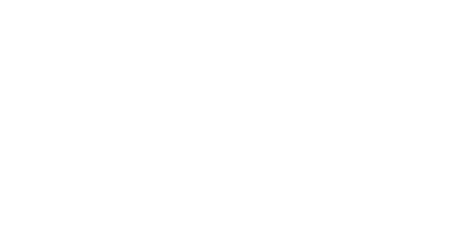 Roche Aktie