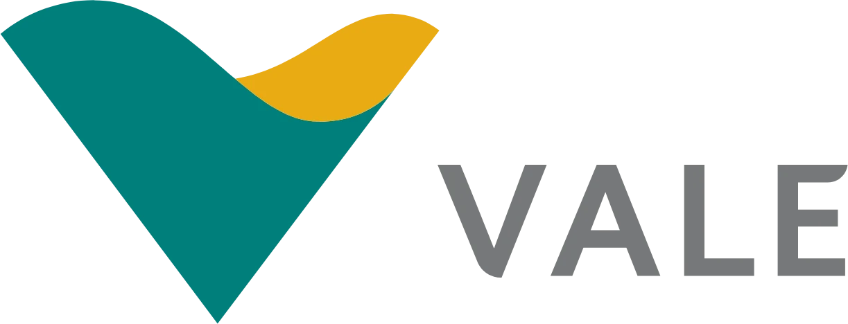Vale Aktie