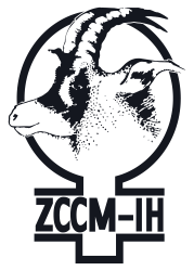 ZCCM Investments Holdings (B) Logo